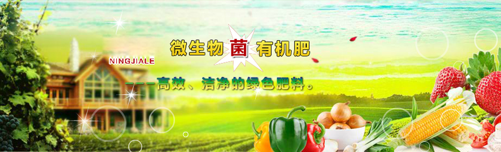 SЖ|(zhun)܇(ch)޹˾
